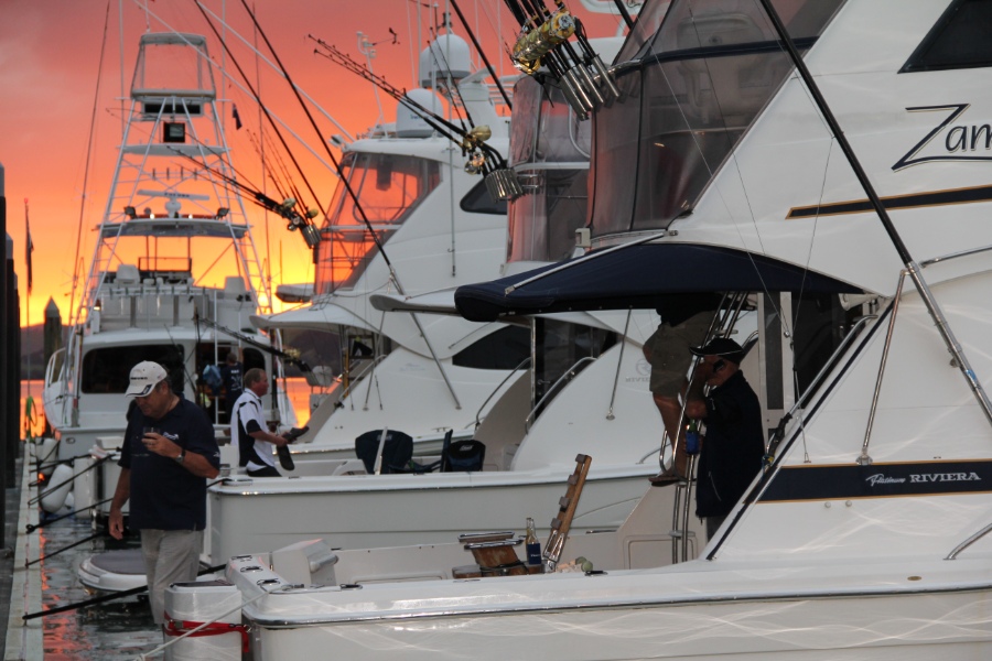 Fishing Organisations & Clubs in New Zealand