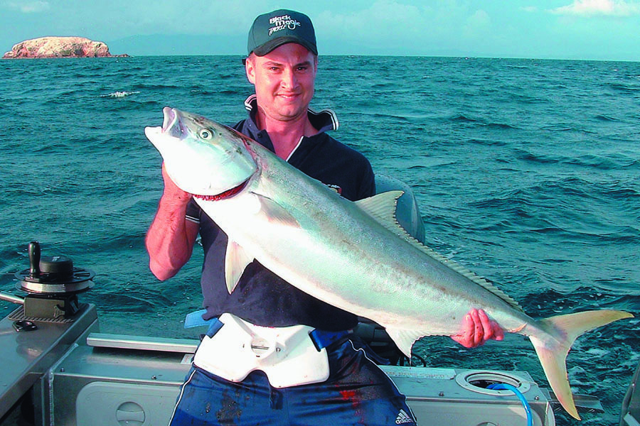 Live-baiting rigs and tips (2008)