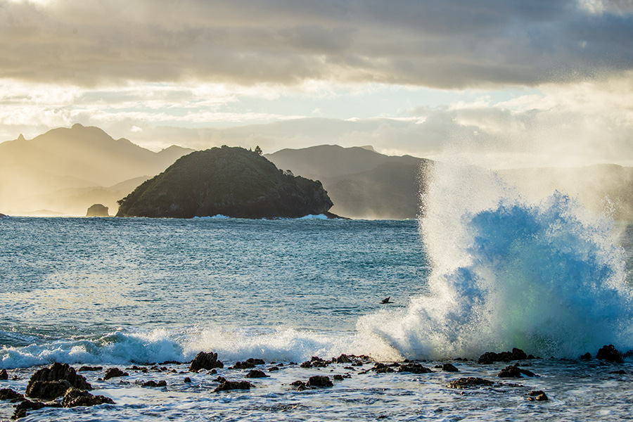 Great Barrier Island The Fishing site