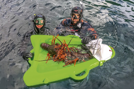 Remaining vigilant around divers