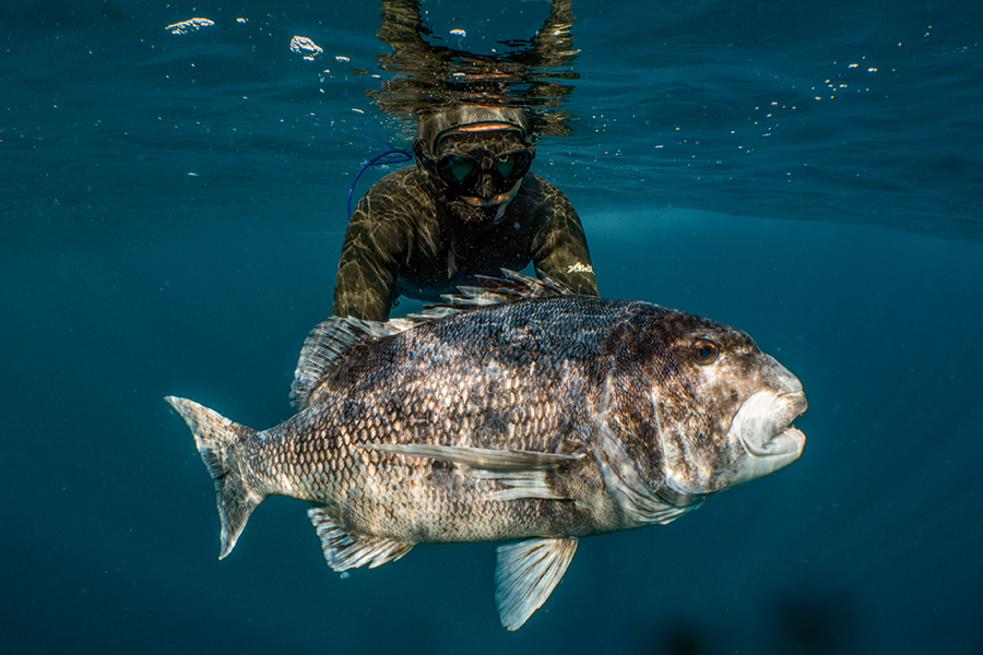 Fishing South Africa's East Coast The Fishing site