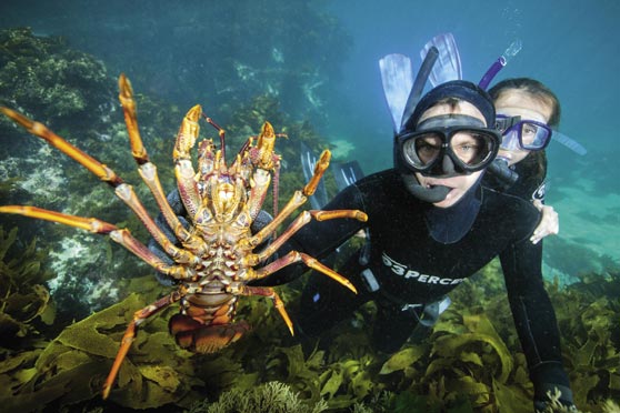 Snorkelling tips for youngsters