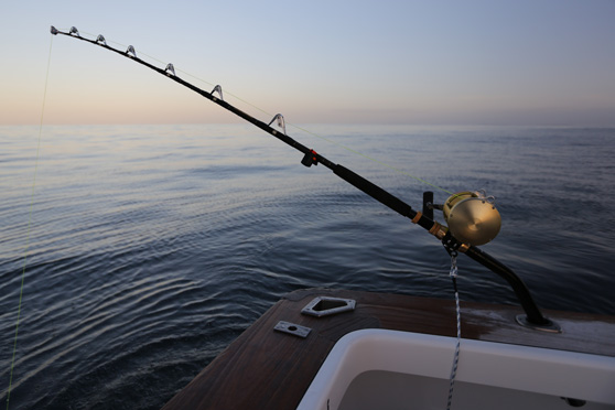 Daytime dropping for broadbill swordfish