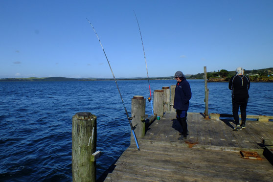 How to catch new saltwater species