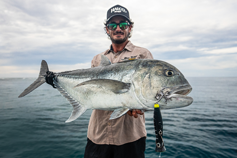 Expert Tips for Topwater Fishing