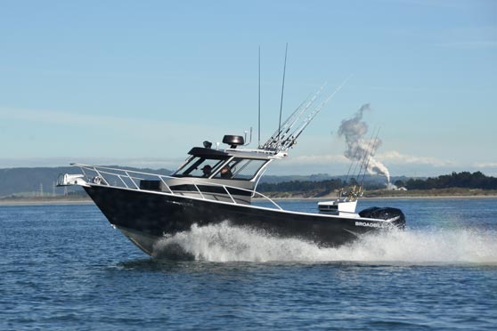 Broadbill 8m
