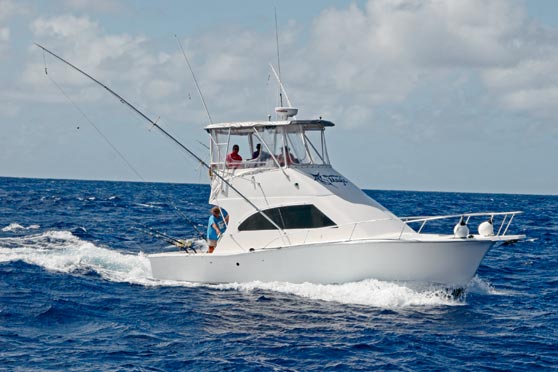 Blue Marlin Magic Charters