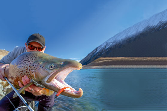 Mackenzie Canals Mega trout