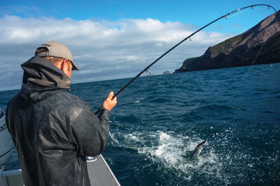 Point-loading and overloading your rod