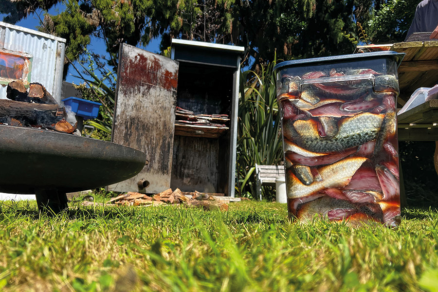 Preparing and Smoking Kahawai The Fishing site