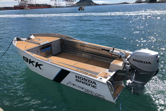 Kingfisher 450 Minicat