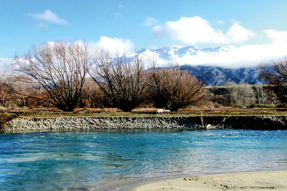 White trout fishing