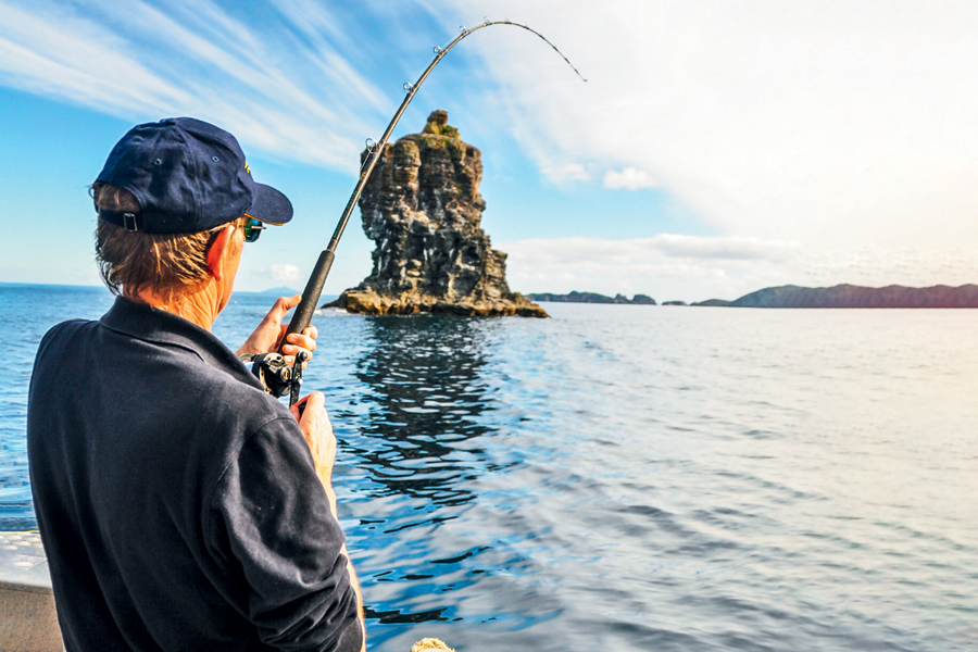 Circle Hooks When and Where to Use The Fishing site