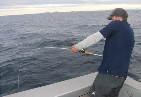 Win a Limited Edition Softbait Rod