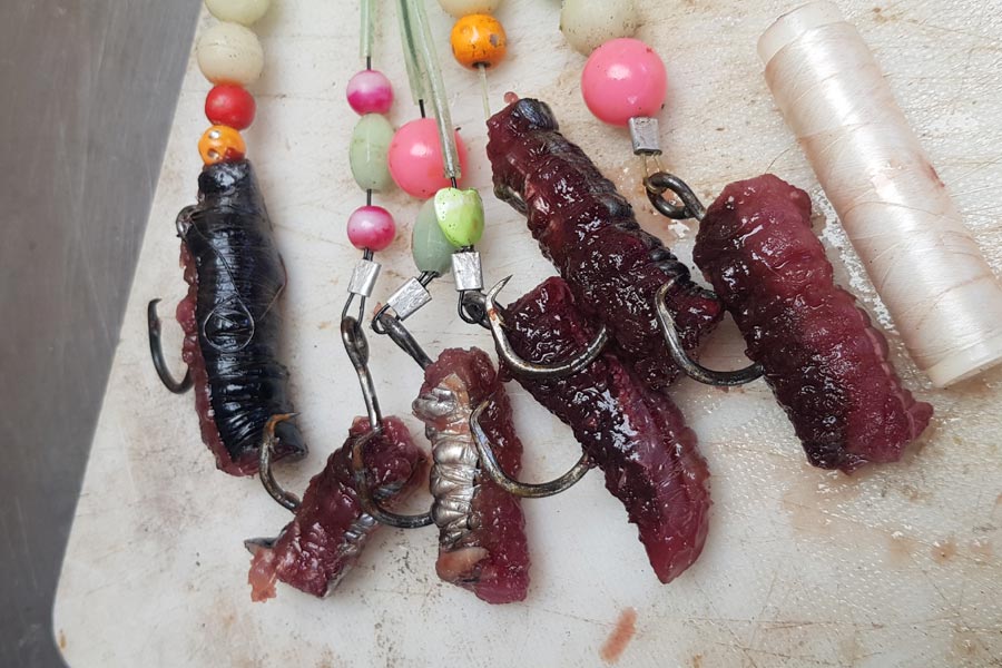 Kontiki Fishing Report June 17th, 2021 The Fishing site