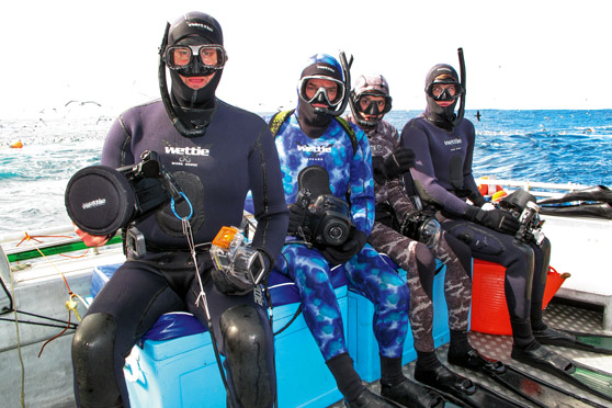 What makes the ideal wetsuit