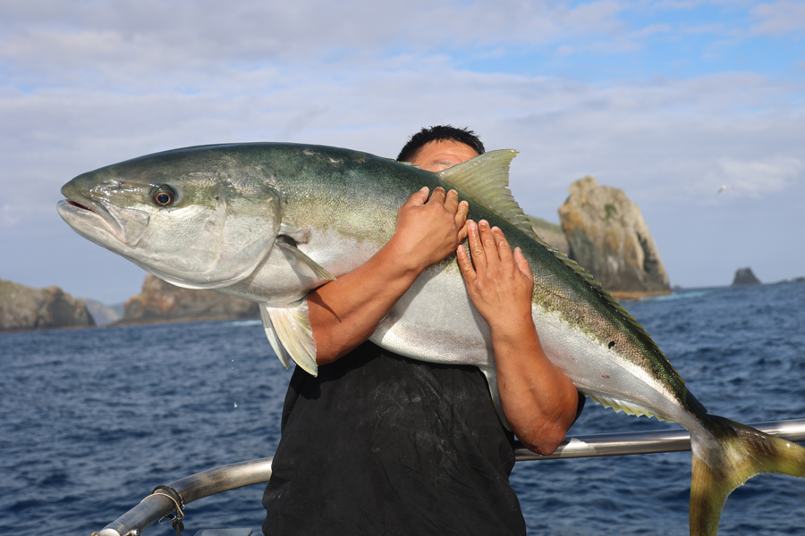 Rigging Livebaits