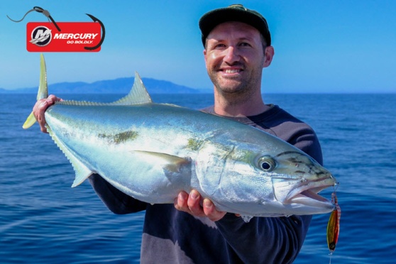 Latest Fishing Reports - 31/05/24 - The Fishing Website - Vimarsana News