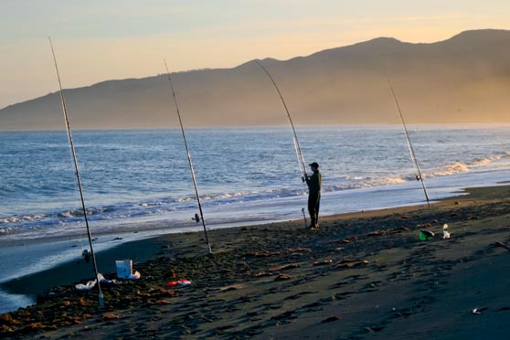 Surfcasting basics - 2016