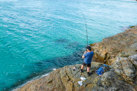 Finding snapper off the rocks