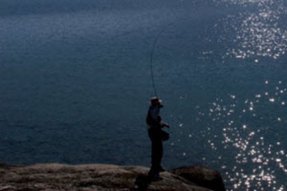 Flyfishing - Sinking Flies