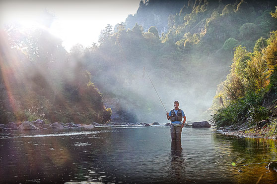 Early winter trout options
