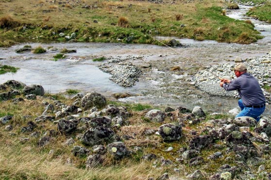 Tips for trout fishing in small streams