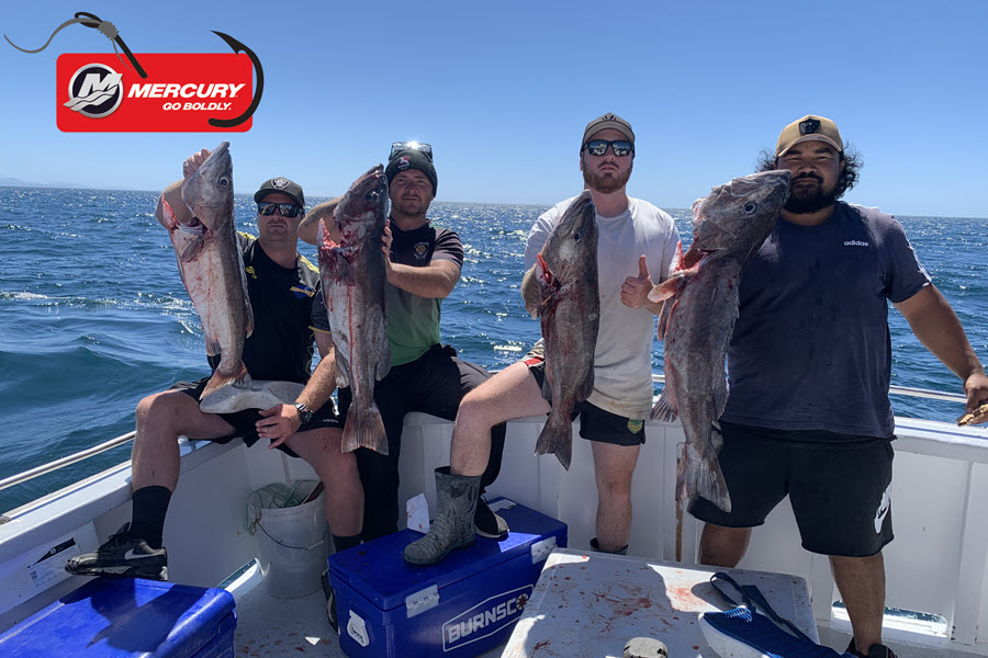 Wellington Fishing Report Feburuary 11th, 2022 The Fishing site