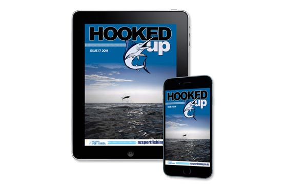 Hooked up issue 17