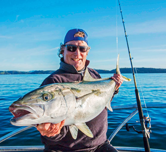 daiwa saltist 6500 ltd Reel Daiwa has also put a mag sealed ball bearing into the 4500 and larger size reels along with seven CRBB corrosion resistant ball bearings Daiwa West Marine Fishing Rods