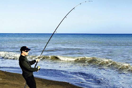 A guide to surfcasting around Wellington